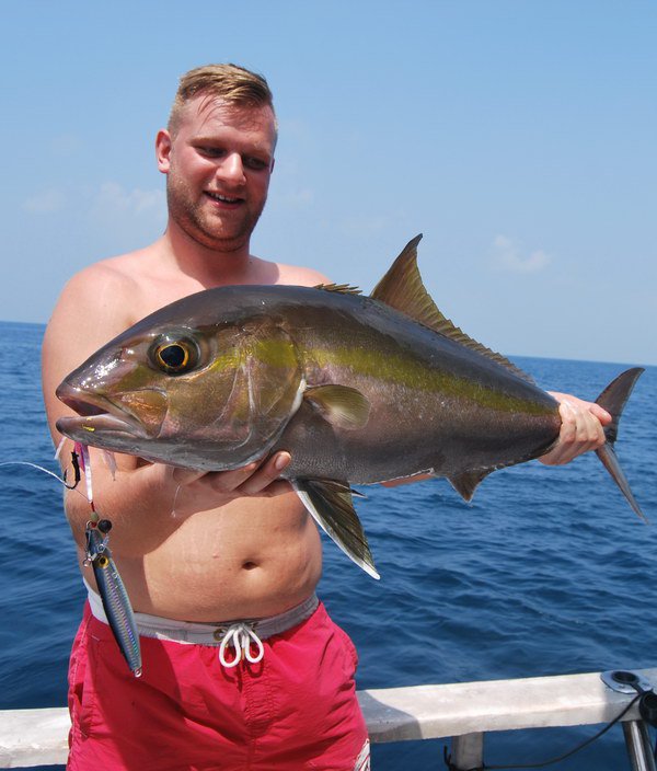 Amberjack ulovený na jig