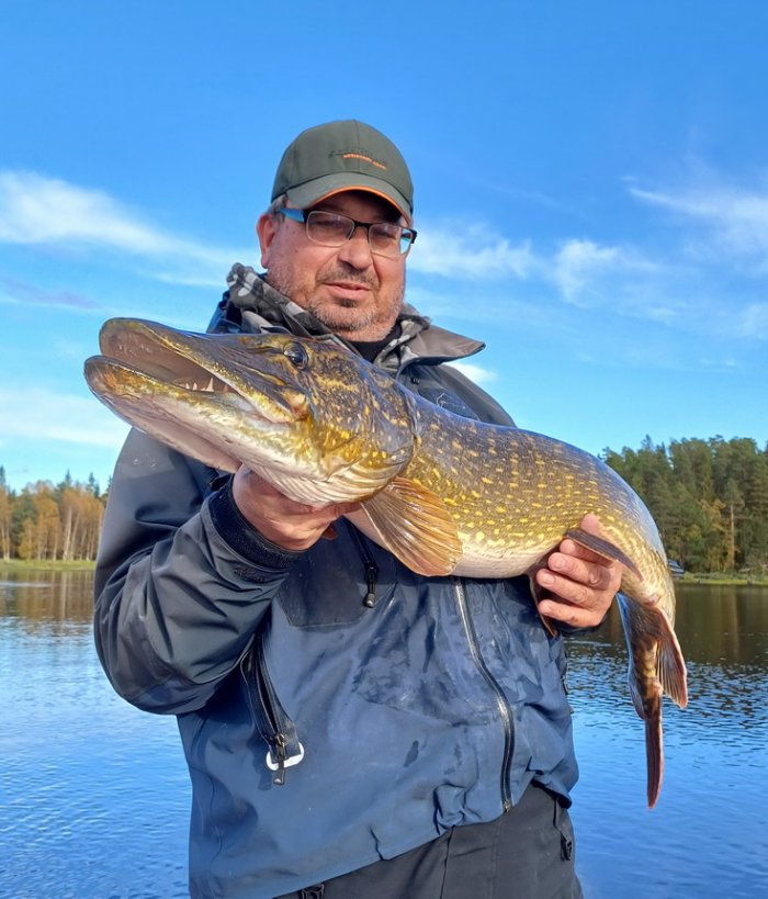 Krásně stavěná štika délky 126 cm z říční peřeje