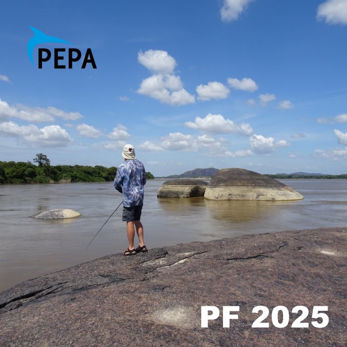 PF 2025