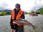 pstruh duhovy - rainbow trout, Kamenistaja river
