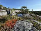 letni prochazky po kopcich nad Tingvollfjordem