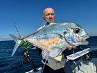 kranas vlaknoploutvy, Alectis ciliaris, African pompano - uloveny na jig