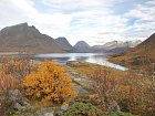 rijen na pobrezi kraje Nordland