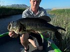 largemouth bass 52 cm from Kuti in April, popper fishing