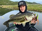 largemouth bass from Kuti in May, spinnerbait fishing