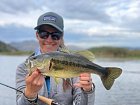 flyfishing for largemouth bass, okounek pstruhovy uloveny na musku