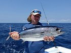 tunak pruhovany - skippjack tuna 66 cm uloveny na privlac