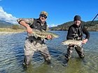 lososi keta - chum salmon uloveni soucasne na rece Harrison