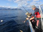 odpoledni rybareni v Andfjordu u Elgsnes 14.zari