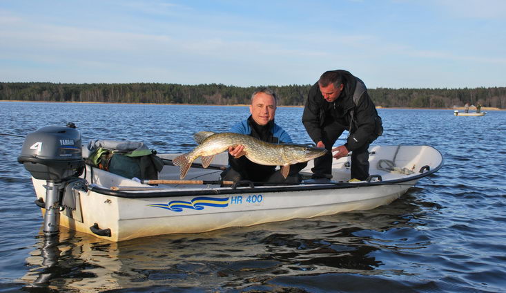 stika 106 cm, Nordqvist, 8. kveten