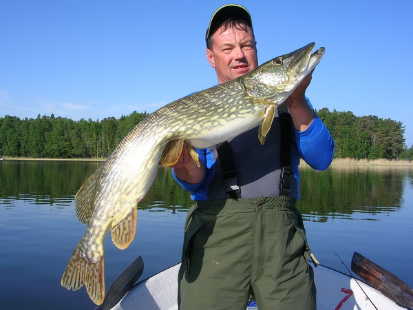 stika 106 cm, Nordqvist 27.5.