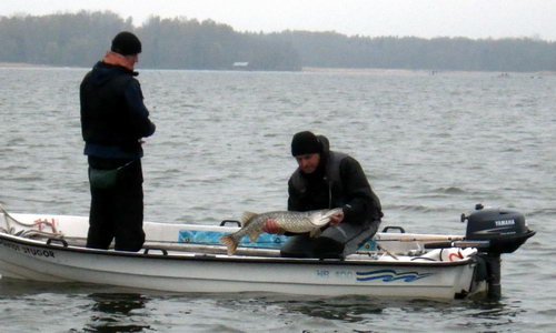 stika 94 cm, destivy kvetnovy den v Nordqvist