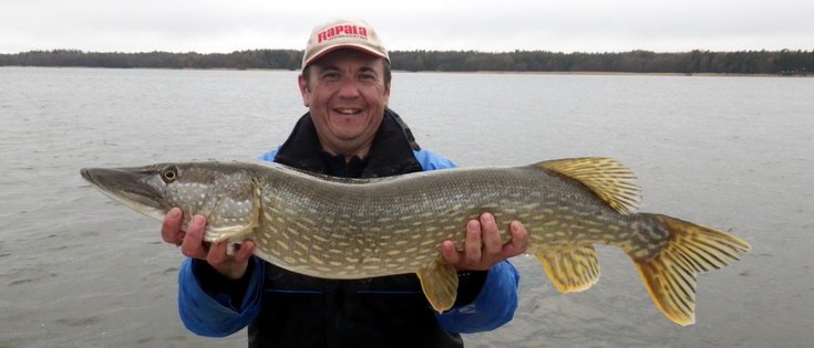 stika 94 cm - destivy kvetnovy vecer v Nordqvist