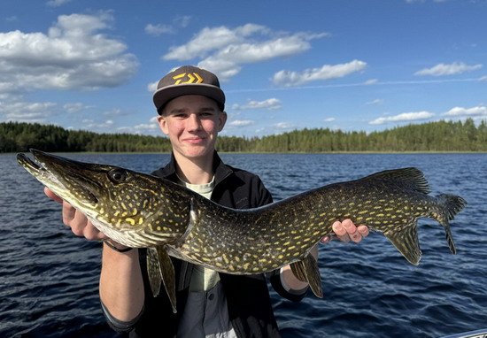 Aspviken, letni stika z jezera Backesjon