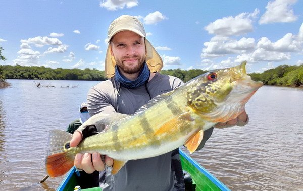 cichlida ocasooka z "nove" laguny