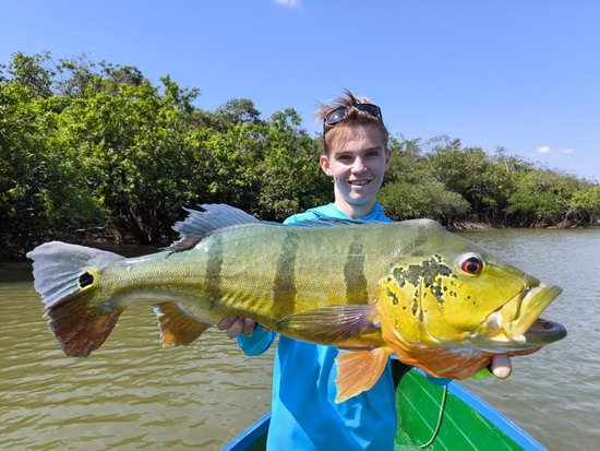 Kryštof s cichlidou (peacockbass, pavón) 75 cm