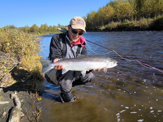 Steelhead 70 cm na mušku "egg sucking leech"