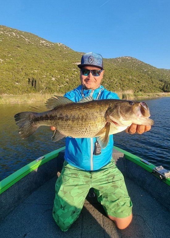 okounek pstruhovy - black bass delky 53 cm, Crna rjeka u jezera Kuti v dubnu