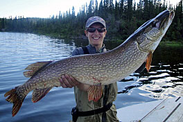 stika 123 cm, cerven v Dalton Trail Lodge