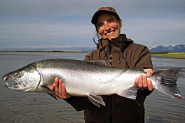 losos kisuc - coho - silver salmon