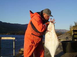 halibut - radost z ulovku