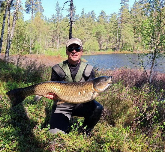 amur 95 cm uloveny v kvetnu na umelou musku v Hokensas