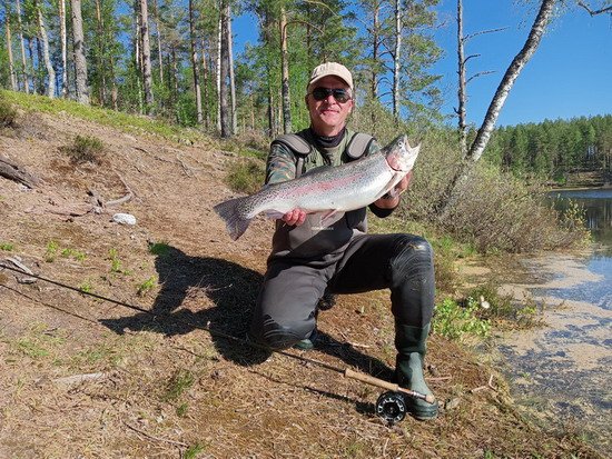 pstruh duhovy, kveten v Hokensas