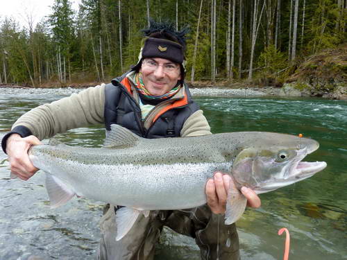 tazna forma pstruha duhoveho - steelhead, breznovy ulovek