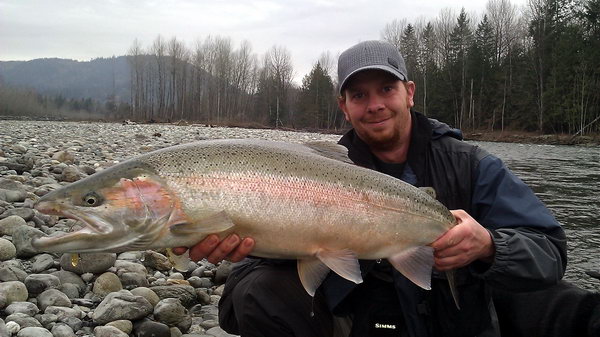 steelhead - tahnouci forma pstruha duhoveho, brezen