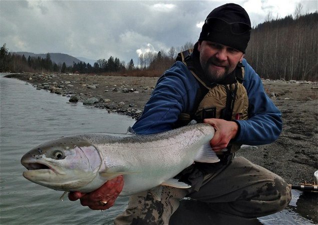 breznovy steelhead