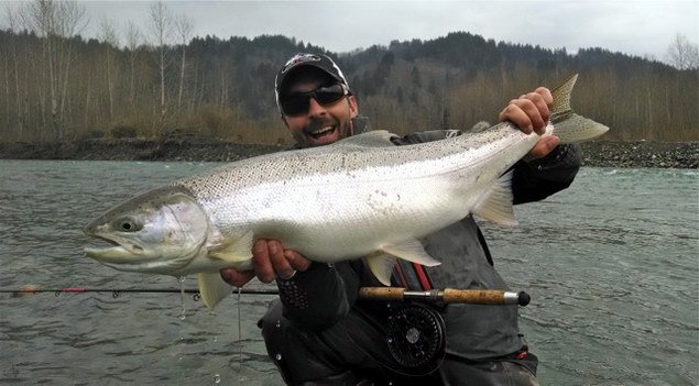 breznovy steelhead uloveny na musku