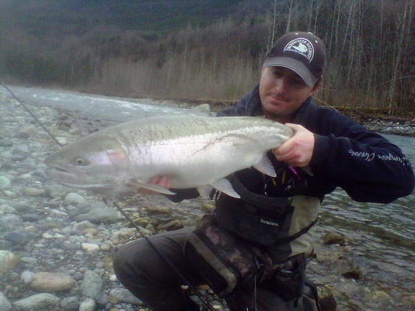 steelhead uloveny v unoru na privlac