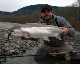 steelhead uloveny na musku 28. unora