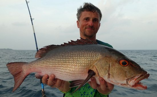 chnapal - red snapper 76 cm