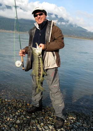 losos keta - chum salmon