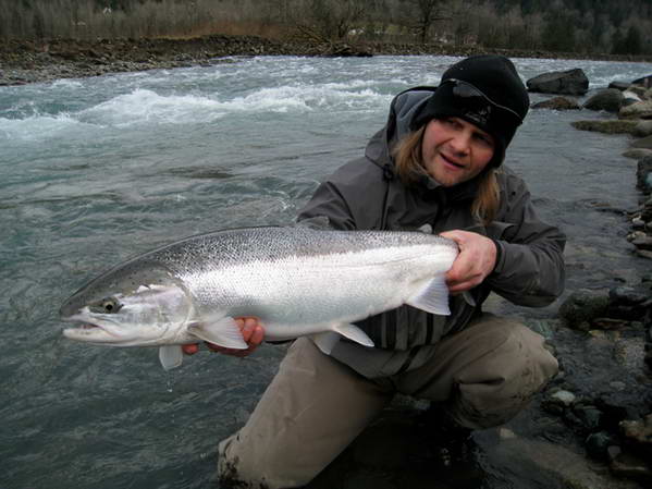 lednovy steelhead