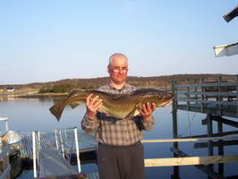 treska obecna 10 kg, Hestoysund 1.5.