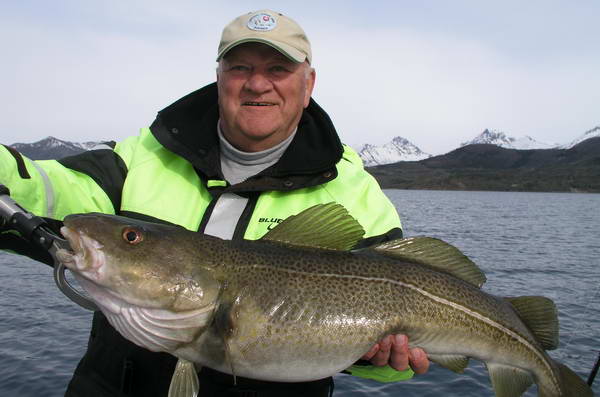 treska obecna z kraje Nordland, kveten