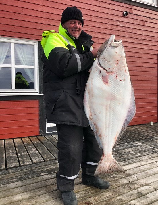 platys obecny - halibut 122 cm, Steigen-Dyping v kvetnu