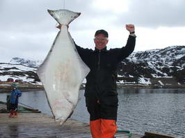 halibut 140 cm, 40 kg, Seiland 26.5.2008