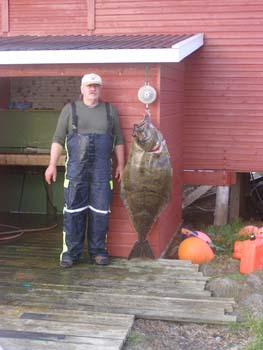 Hestoysund - halibut 1,4 m, 32 kg