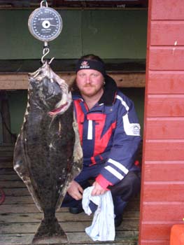 Hestoysund - halibut 1,05 m, 15 kg