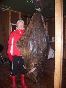 Halibut 62 kg, ulovil majitel chaty Leines (brezen)