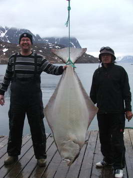 Seiland-kveten, halibut 45 kg, 155 cm