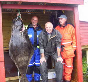 Halibut 160 cm, 50 kg, Hestoysund, cerven