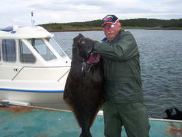 Hestoysund - halibut 25 kg, srpen