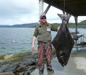 halibut 150 cm, 39,5 kg, ulovil Milan Machac v Ulvangu