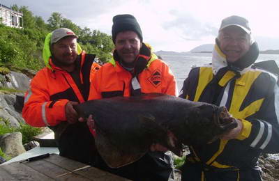 halibut 17 kg, Nordland, cerven