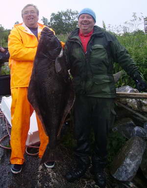 halibut 30 kg, uloveno u Sandnesjoen, červenec