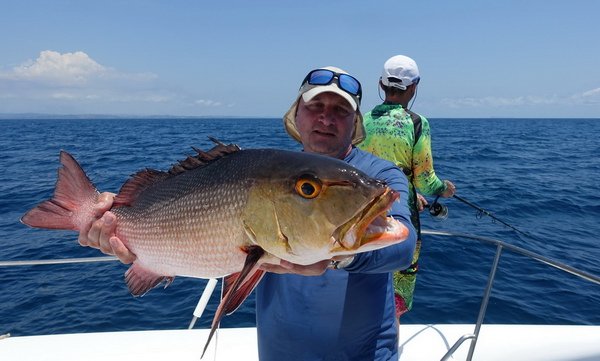 chnapal bohar - red snapper 65 cm